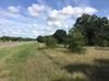 FM 751 & Northshore photo